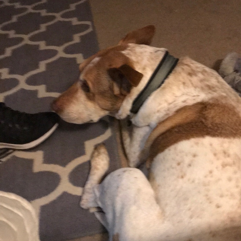 Meet your Posher, Victoria